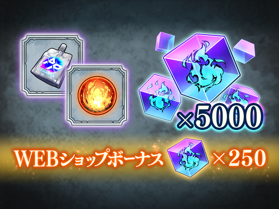 修練の燈付き廻珠パックB